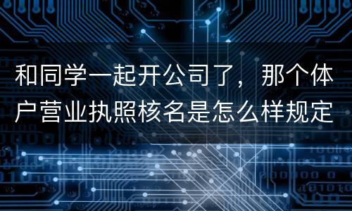 和同学一起开公司了，那个体户营业执照核名是怎么样规定的