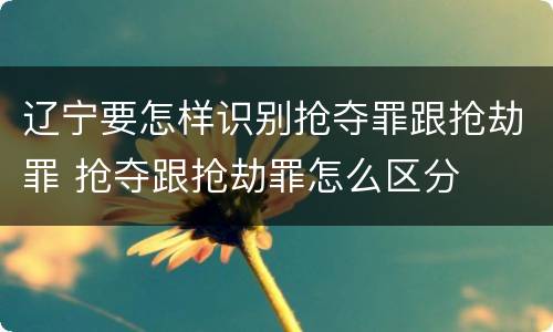 辽宁要怎样识别抢夺罪跟抢劫罪 抢夺跟抢劫罪怎么区分