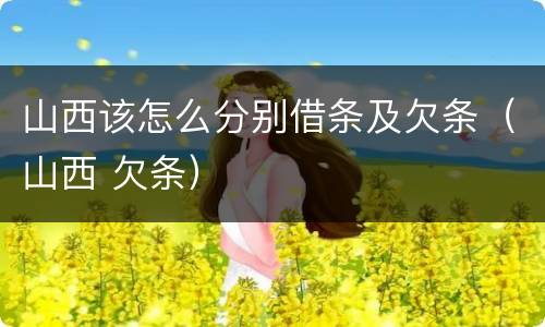 山西该怎么分别借条及欠条（山西 欠条）