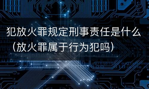 犯放火罪规定刑事责任是什么（放火罪属于行为犯吗）