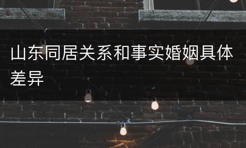 山东同居关系和事实婚姻具体差异