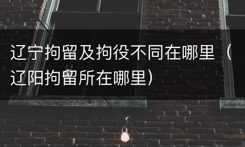 辽宁拘留及拘役不同在哪里（辽阳拘留所在哪里）