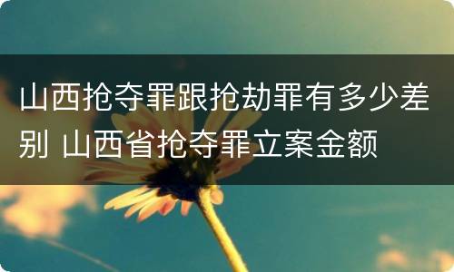 山西抢夺罪跟抢劫罪有多少差别 山西省抢夺罪立案金额