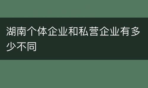 湖南个体企业和私营企业有多少不同