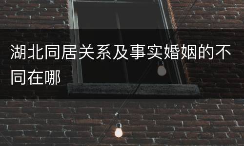 湖北同居关系及事实婚姻的不同在哪
