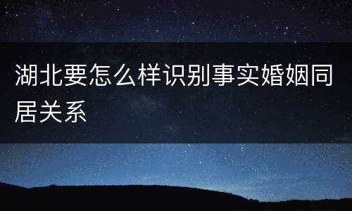湖北要怎么样识别事实婚姻同居关系