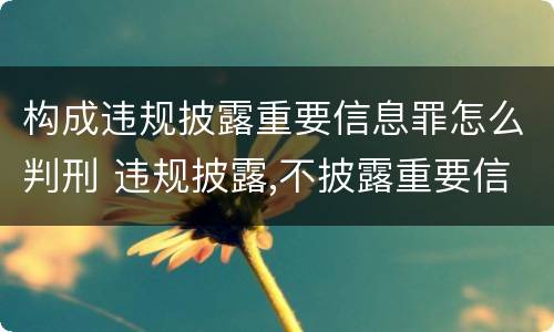 构成违规披露重要信息罪怎么判刑 违规披露,不披露重要信息罪