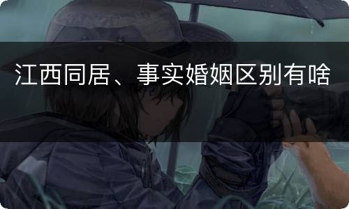 江西同居、事实婚姻区别有啥
