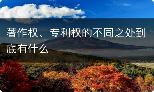 著作权、专利权的不同之处到底有什么