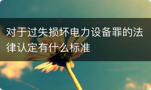 对于过失损坏电力设备罪的法律认定有什么标准