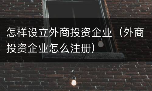 怎样设立外商投资企业（外商投资企业怎么注册）