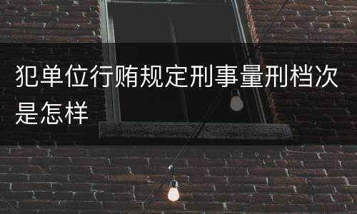 犯单位行贿规定刑事量刑档次是怎样