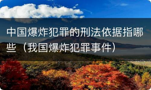 中国爆炸犯罪的刑法依据指哪些（我国爆炸犯罪事件）
