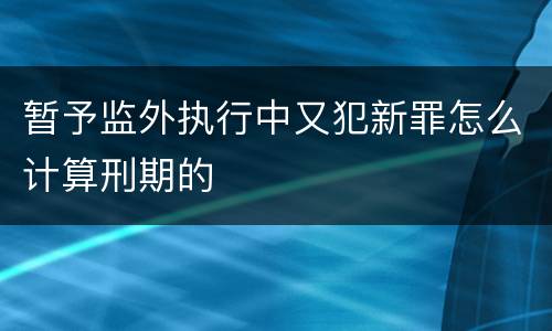 暂予监外执行中又犯新罪怎么计算刑期的