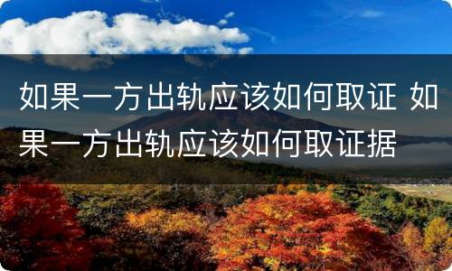 如果一方出轨应该如何取证 如果一方出轨应该如何取证据
