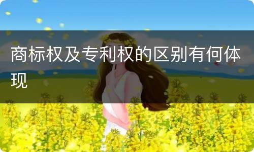 商标权及专利权的区别有何体现