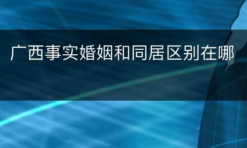 广西事实婚姻和同居区别在哪
