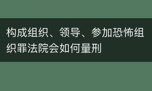 构成组织、领导、参加恐怖组织罪法院会如何量刑