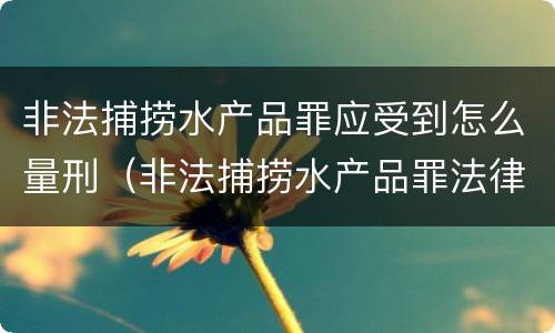非法捕捞水产品罪应受到怎么量刑（非法捕捞水产品罪法律条款）
