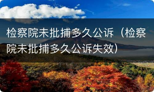 检察院未批捕多久公诉（检察院未批捕多久公诉失效）