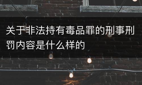 关于非法持有毒品罪的刑事刑罚内容是什么样的