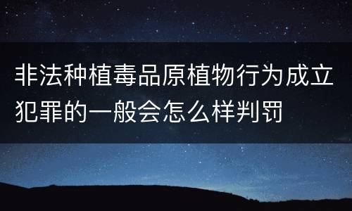 非法种植毒品原植物行为成立犯罪的一般会怎么样判罚