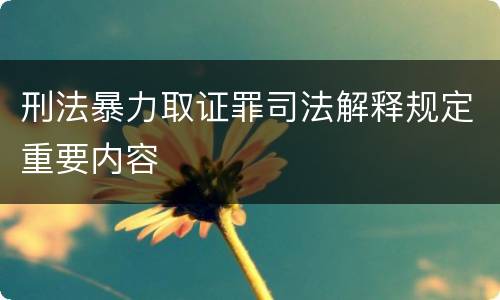 刑法暴力取证罪司法解释规定重要内容