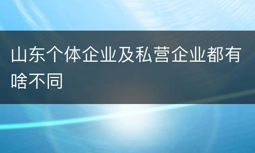 山东个体企业及私营企业都有啥不同