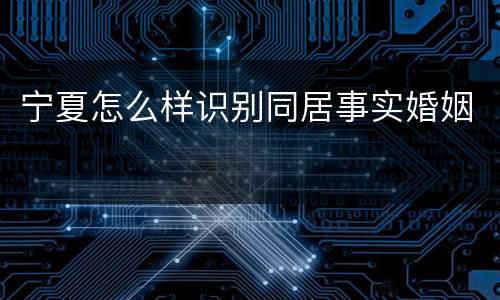 宁夏怎么样识别同居事实婚姻