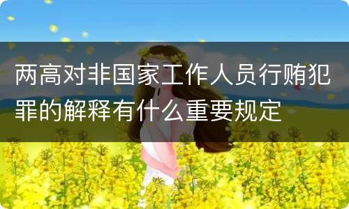 两高对非国家工作人员行贿犯罪的解释有什么重要规定