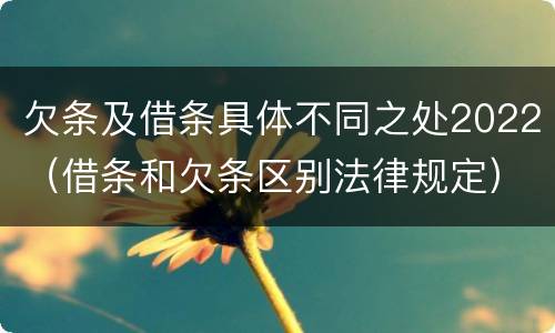 欠条及借条具体不同之处2022（借条和欠条区别法律规定）