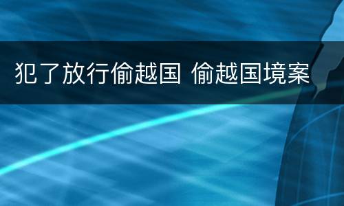 犯了放行偷越国 偷越国境案