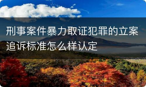 刑事案件暴力取证犯罪的立案追诉标准怎么样认定