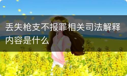 丢失枪支不报罪相关司法解释内容是什么
