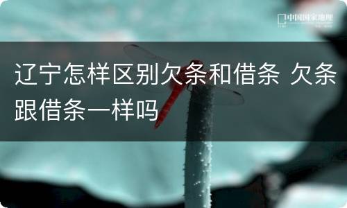 辽宁怎样区别欠条和借条 欠条跟借条一样吗