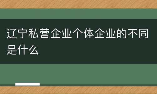 辽宁私营企业个体企业的不同是什么