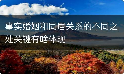 事实婚姻和同居关系的不同之处关键有啥体现