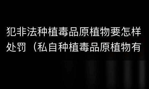 犯非法种植毒品原植物要怎样处罚（私自种植毒品原植物有什么罪?）