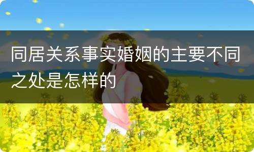 同居关系事实婚姻的主要不同之处是怎样的
