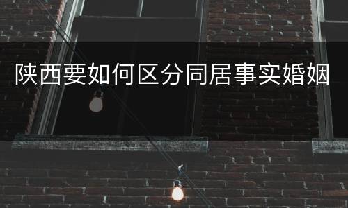 陕西要如何区分同居事实婚姻