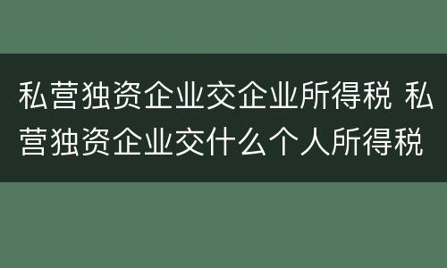 私营独资企业交企业所得税 私营独资企业交什么个人所得税