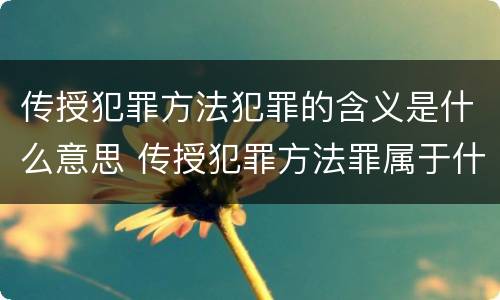 传授犯罪方法犯罪的含义是什么意思 传授犯罪方法罪属于什么犯罪类型