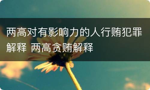 两高对有影响力的人行贿犯罪解释 两高贪贿解释