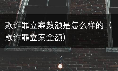 欺诈罪立案数额是怎么样的（欺诈罪立案金额）