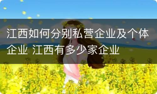 江西如何分别私营企业及个体企业 江西有多少家企业