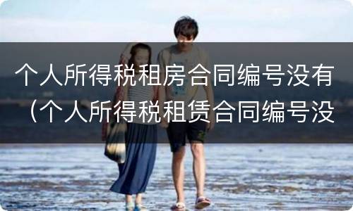 个人所得税租房合同编号没有（个人所得税租赁合同编号没有怎么办）