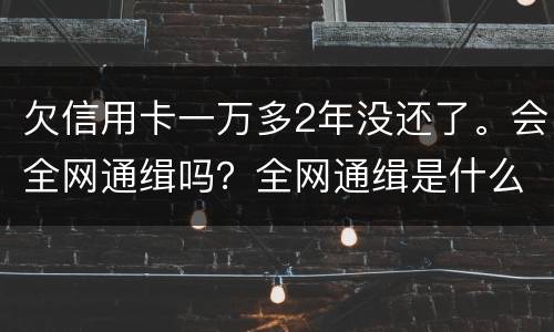 欠信用卡一万多2年没还了。会全网通缉吗？全网通缉是什么意思