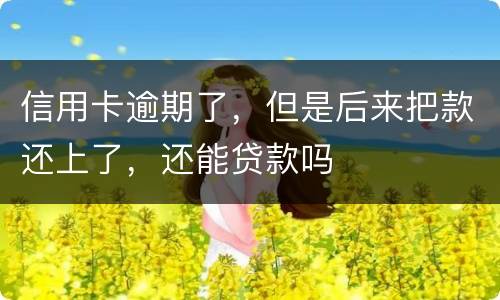 信用卡逾期了，但是后来把款还上了，还能贷款吗