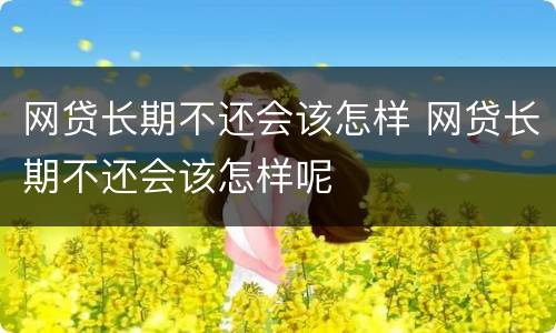 网贷长期不还会该怎样 网贷长期不还会该怎样呢