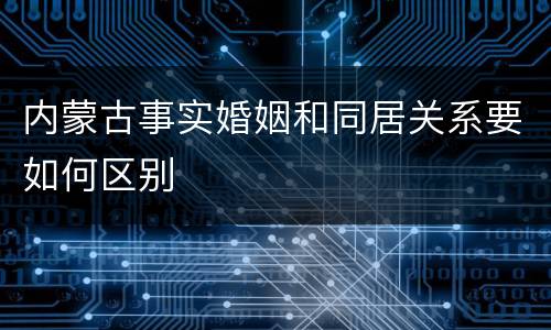 内蒙古事实婚姻和同居关系要如何区别